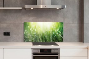 Szklany Panel Krople Rosy w Słońcu