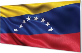 Szklany Panel Narodowa Flaga Wenezueli