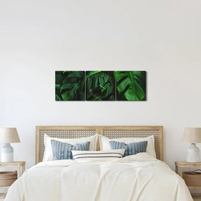 Obraz liści Monstery (z zegarem) (90x30 cm)