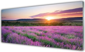 Panel Szklany Lawendowy Zmierzch na Polu