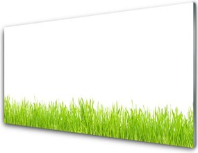 Szkło Ozdobne do Kuchni Soczysty Naturalny Trawnik