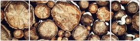 Obraz - Drewno w śniegu (170x50 cm)