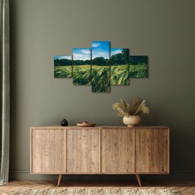 Obraz łąki i lasu (125x70 cm)