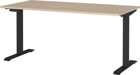 Biurko z elektryczną regulacją wysokości w dekorze dębu 80x160 cm – Germania