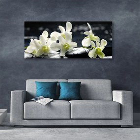 Obraz canvas Elegancja Egzotycznej Orchidei