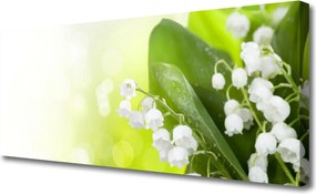 Obraz drukowany na płótnie Dzwoneczki Konwalii w Gęstwinie