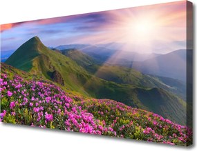 Obraz canvas Kwiatowy Dywan u Stóp Gór
