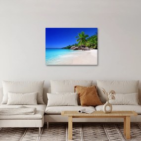 Obraz plaży na wyspie Praslin (70x50 cm)