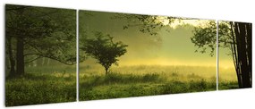 Obraz - Budzący się las (170x50 cm)