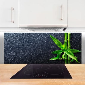 Panel Szklany do Kuchni Egzotyczny Pęd Bambusa