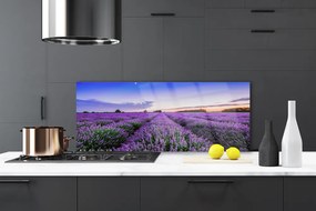 Panel Kuchenny Letnia Łąka Pełna Kwiatów