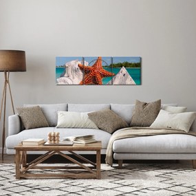 Obraz rozgwiazdy (z zegarem) (90x30 cm)