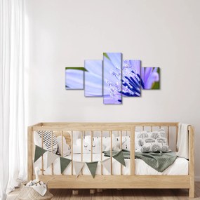 Obraz - Kwiat (125x70 cm)