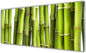 Szkło do Kuchni na Ścianę Świeże Pędy Zielonego Bambusa