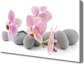 Obraz na płótnie Drzewo na Kamiennym Wzgórzu