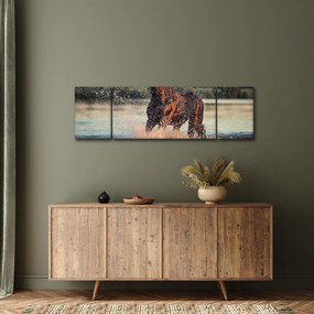 Obraz - Biegnący koń (170x50 cm)