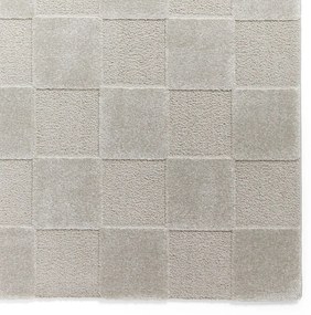 Jasnoszary dywan 200x290 cm Elio Silver – Think Rugs
