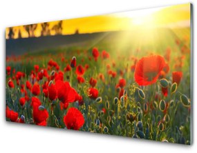 Panel Szklany Łąka Maki Roślina Natura