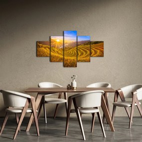 Obraz - Pole ryżowe w Wietnamie (125x70 cm)
