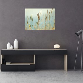 Obraz - Łąkowa chwila (70x50 cm)