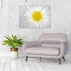 Obraz na szkle - Margarita (70x50 cm)