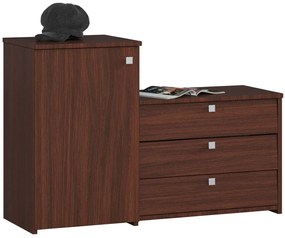 Uchylna Szafka Na Buty Wenge B9-F06
