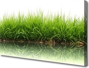 Obraz na płótnie Naturalna Świeżość Zieleni