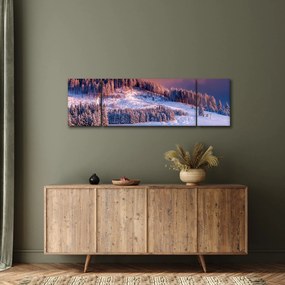Obraz zimowego krajobrazu (170x50 cm)