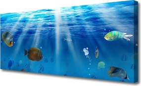 Obraz na płótnie Egzotyczna Ryba w Tonii