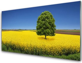 Panel Szklany do Kuchni Samotne Drzewo w Polu