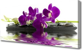 Obraz canvas Letni Ogród na Płótnie