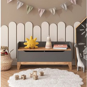 Skrzynia na zabawki szary/artystyczny 107.2x30x50 malia