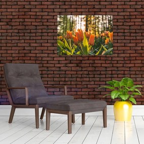 Obraz - kwiaty tulipanów (70x50 cm)
