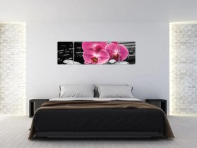 Obraz - Różowe orchidee (170x50 cm)