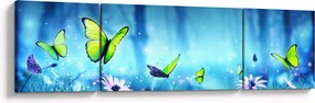 Obraz - Mistyczna leśna polana (170x50 cm)