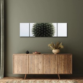 Obraz kuli kwiatowej (170x50 cm)