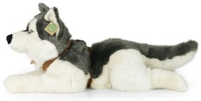 Rappa Pluszowy husky z uprzężą 60 cm ECO - FRIENDLY
