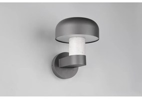 Zewnętrzna lampa ścienna (wysokość 24,5 cm) Fraser – Trio
