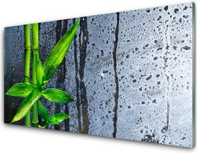 Panel Szklany do Kuchni Świeżość Zielonego Bambusa