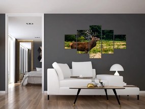 Obraz jelenia (125x70 cm)