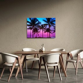 Obraz na szkle - Palmy w Miami (70x50 cm)