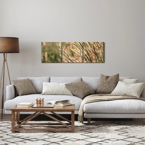 Obraz - Ziarno (z zegarem) (90x30 cm)