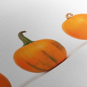 Obraz dyni (170x50 cm)