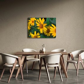 Obraz żółtych kwiatów (70x50 cm)