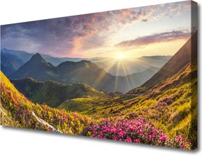 Obraz drukowany na płótnie Słoneczna Polana pod Szczytami