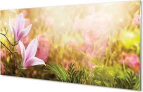 Szklany Panel Magnolia w Słońcu