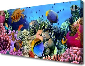 Obraz na płótnie Bogactwo Oceanicznej Rafy