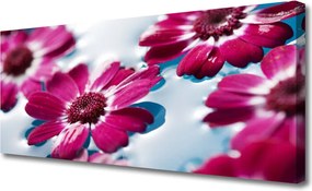 Duży obraz na płótnie Rosa na Puszystym Dmuchawcu