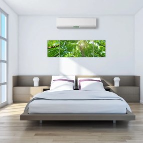 Obraz - Las (170x50 cm)