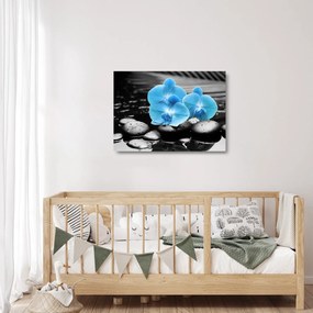 Obraz na szkle - Niebieska Orchidea (70x50 cm)